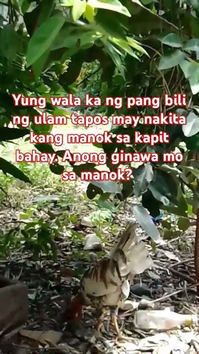 Yung Wala kang Parent during CIBAT CULMINATION, Snupy .